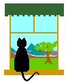 cat in window