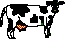 cow image