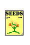 flower seeds