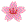 pink flower image