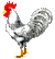 rooster image