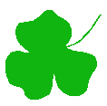 shamrock