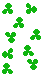 shamrock divider