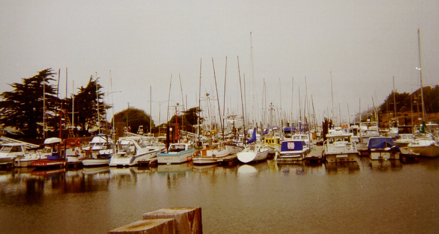 Boats at Moss Landing